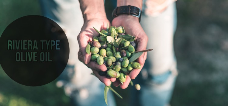 Riviera Type Olive Oil