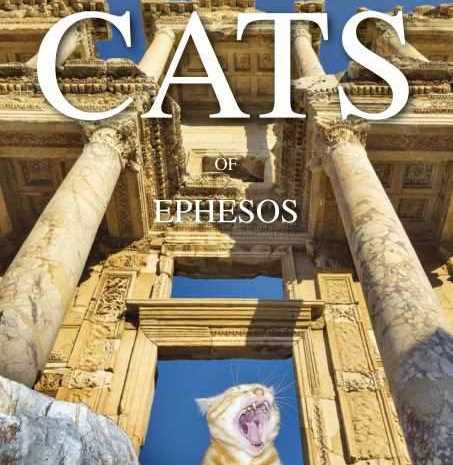 Cats of Ephesus Book