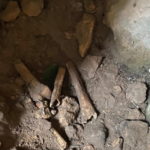 Bones found in the Cybele Sanctuary nearby Ephesus