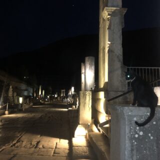 A Black Cat İn Ephesus During A Night Tour In Ephesus