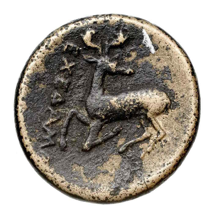 Coin with a deer dedicated to Artemis or Diana of Ephesus