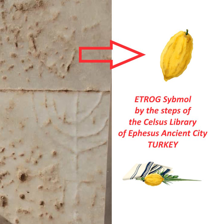 An Etrog Symbol Was Found by the Stairs of Celsus Library in Ephesus Ancient City of Asia Minor