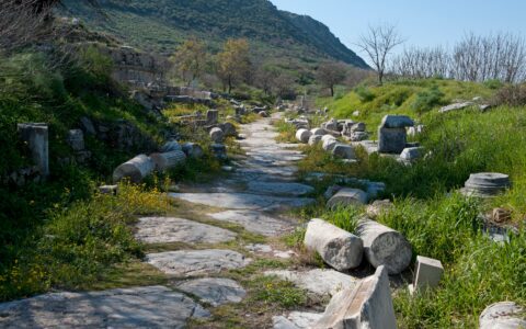 East Gymnasium of Ephesus: Roman Baths Beside the Upper Gate 4 Ancient paved road with fallen column drums near the Magnesia Gate of Ephesus