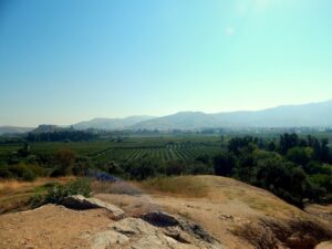 Orchards and fields of the Selçuk plain seen from a rocky hill, with a fortress on a hill at the left and mountains in the distance