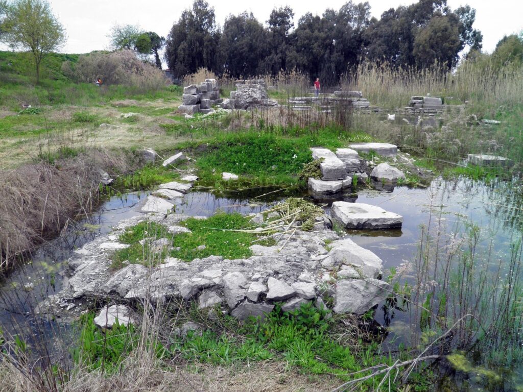 10 Intriguing Facts About Ephesus 4 Flooded foundations of the Temple of Artemis nearby Selçuk, one of the intriguing facts about Ephesus
